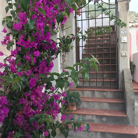 Nido D'amore - Positanohouse * Positano